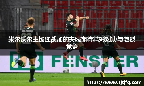 谈球吧
